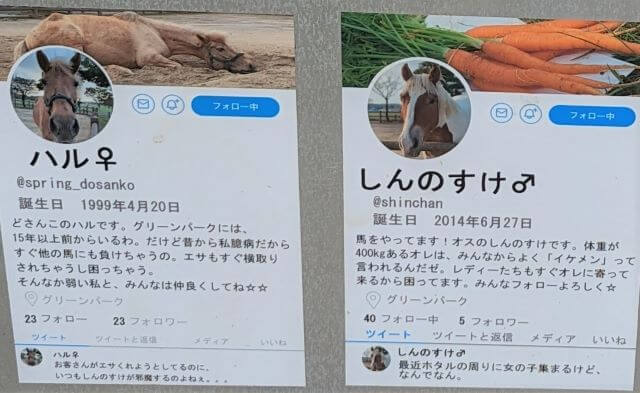 福岡県北九州市にある「響灘グリーンパーク」にいる馬のハルとしんのすけの性格が書いてある看板